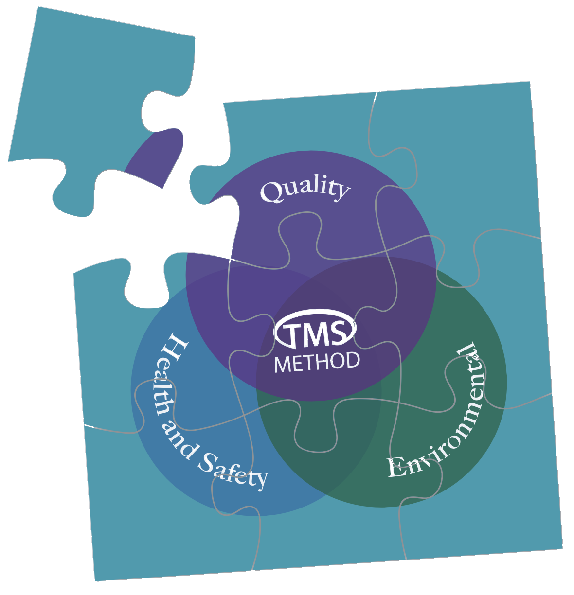 TMS Method joined-up framework jigsaw